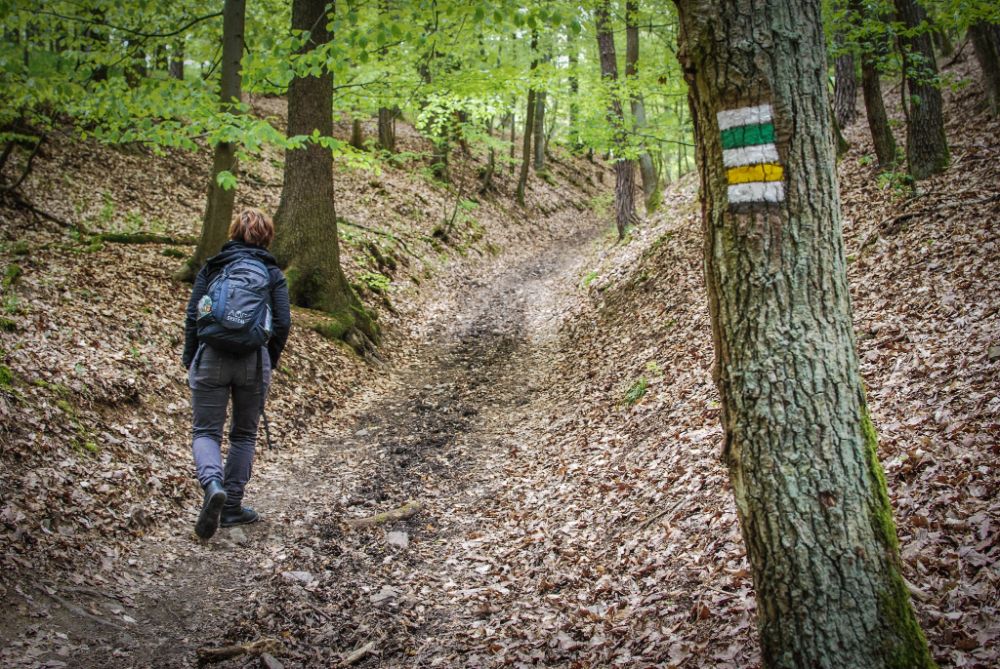 Hiking markers