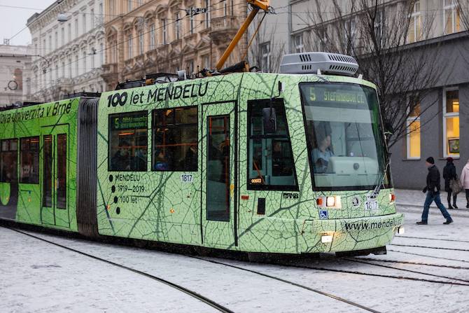 mendelu_tram-(1).jpg mendelu_tram-(1).jpg